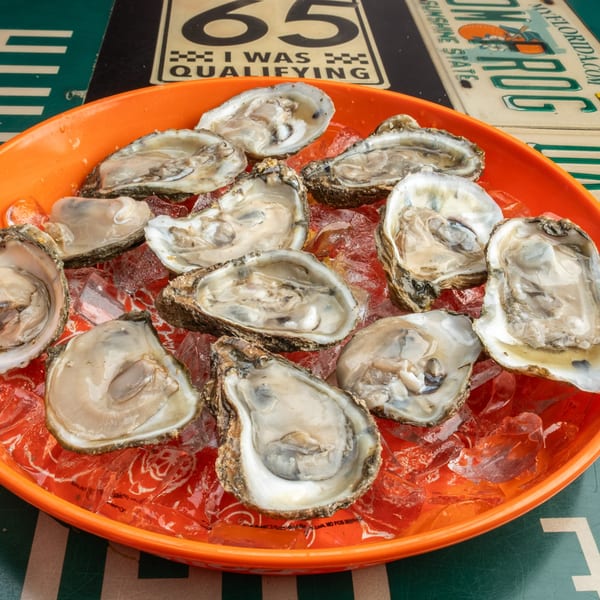 Fresh oysters on the half shell, served on a bed of ice in an orange bowl.